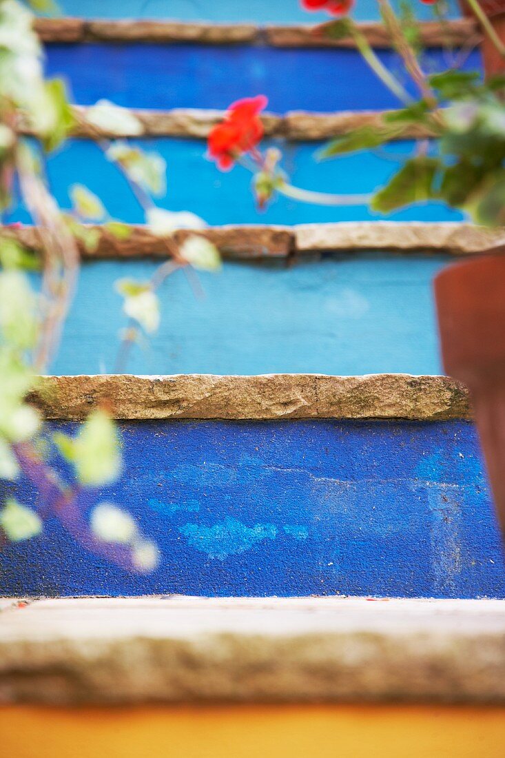 Potted plants on blue-painted stone steps