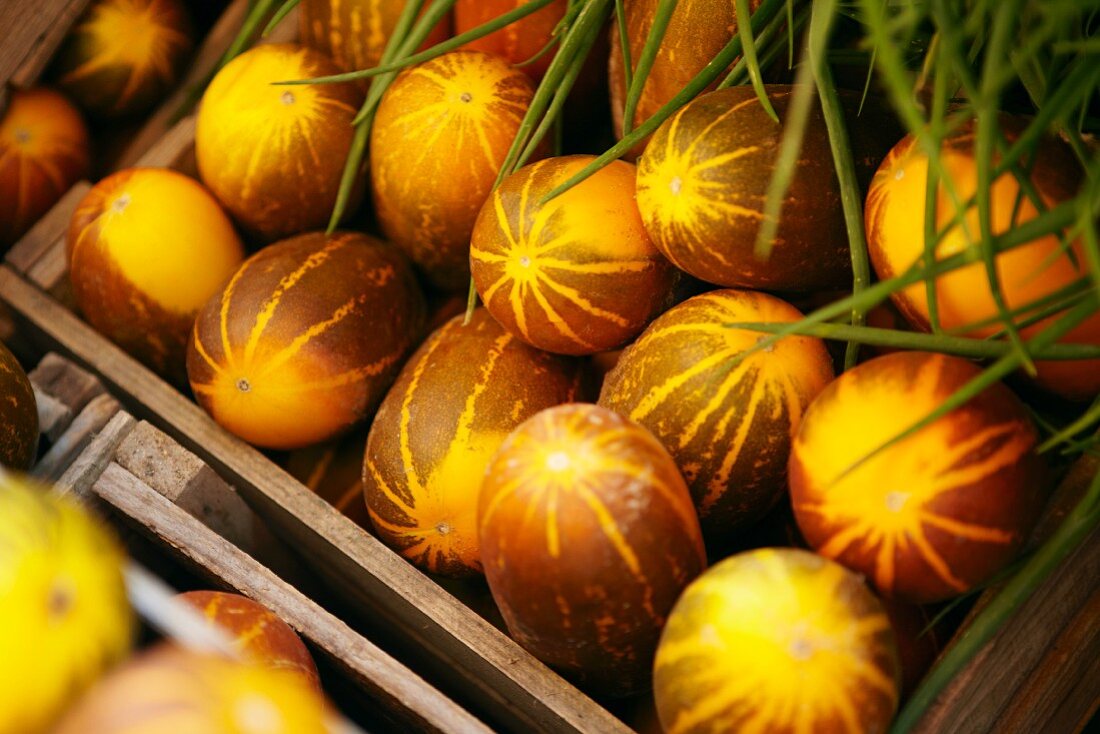 Squash and chives in a crate