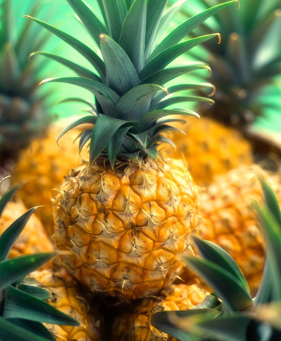 Several pineapples
