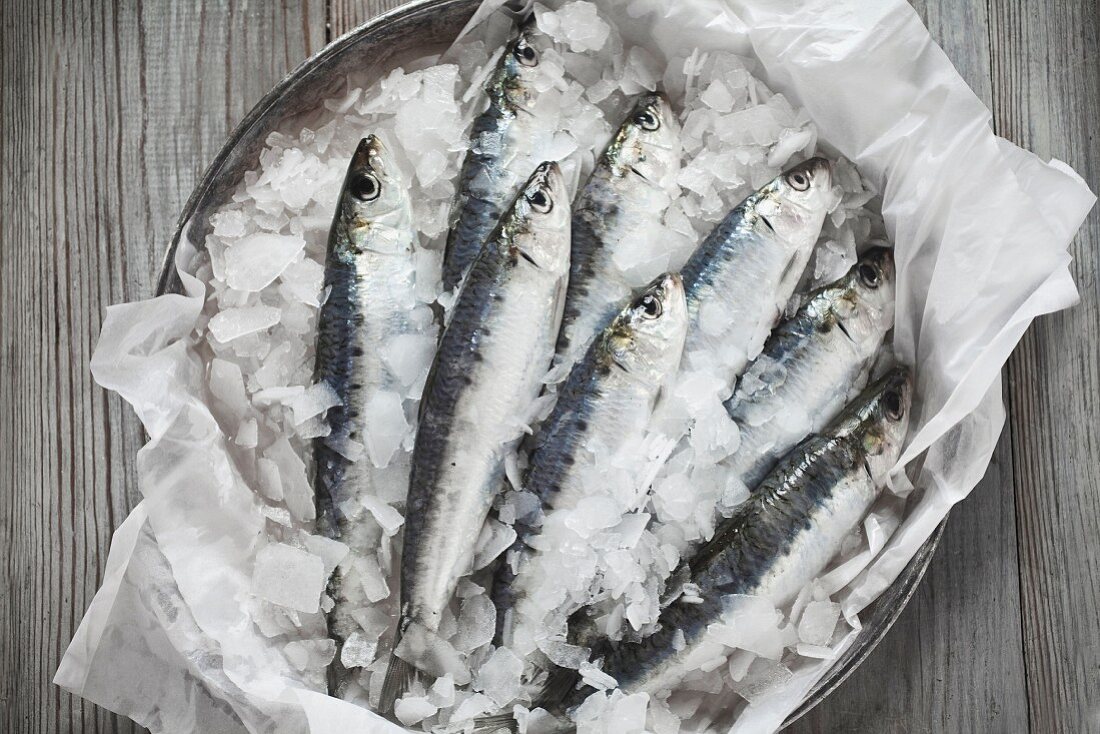 Raw sardines on ice