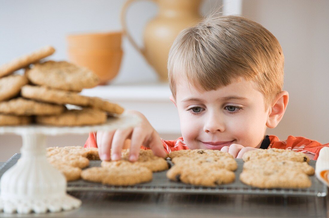 Boy taking fresh cookie from rack