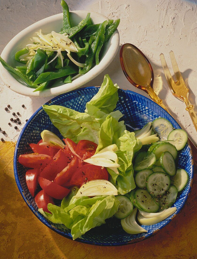 A Bowl of mixed raw Vegetables and a Bowl of sliced Green Pepper