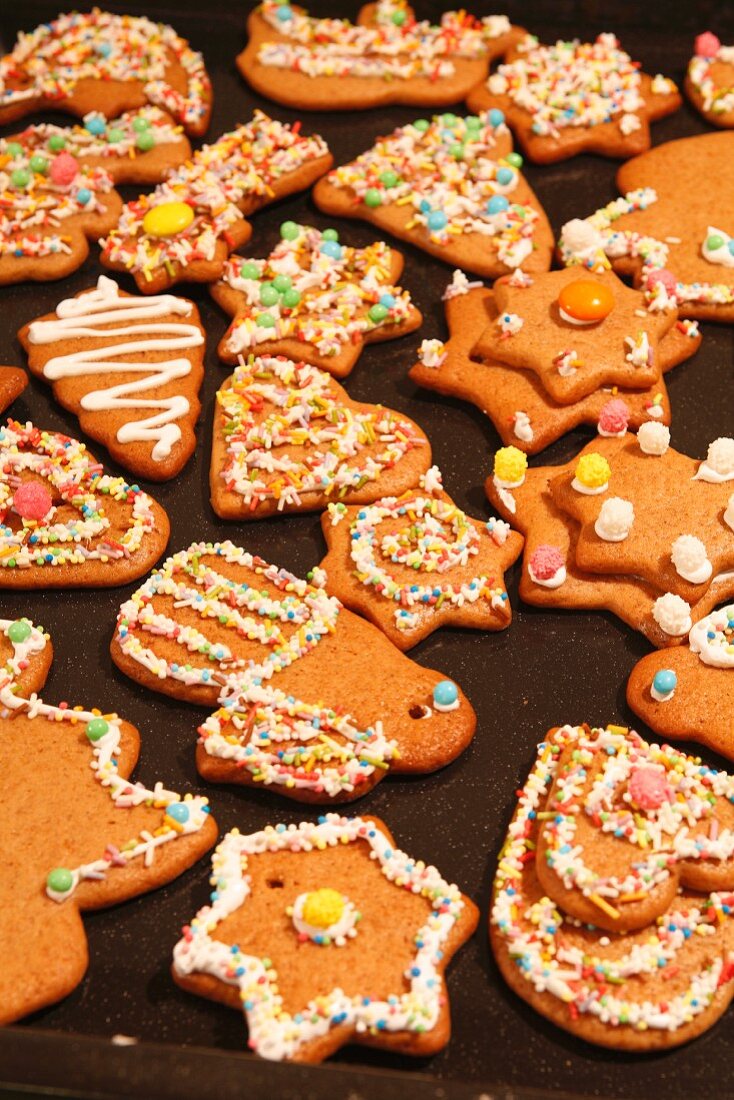 Assorted gingerbread biscuits decorated with sugar icing