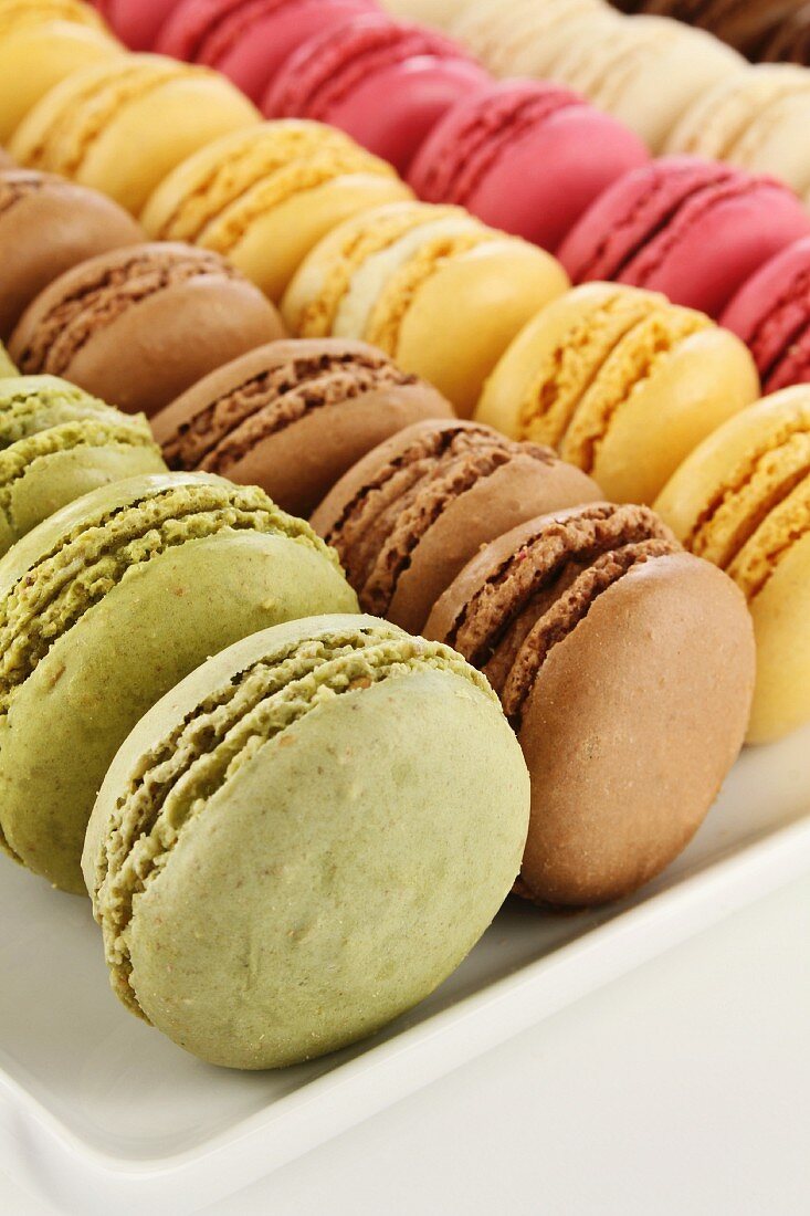 Rows of colorful macarons