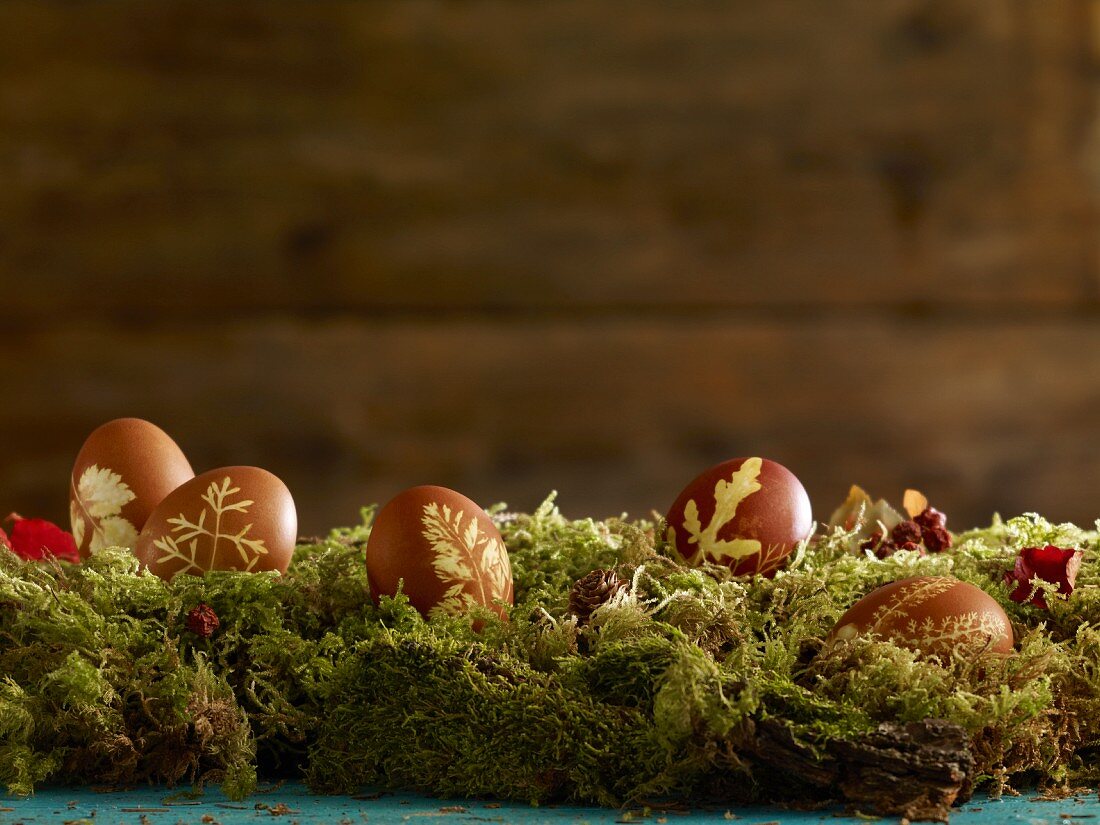 Dyed Easter eggs in natural colors on a moss covered surface