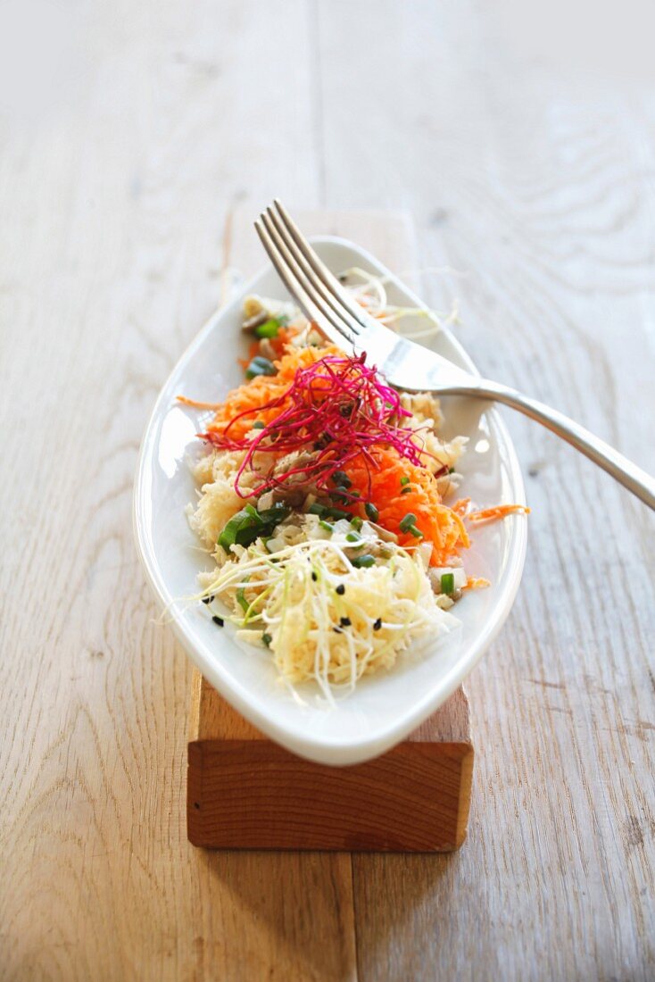 Parsnip-carrot salad with sprouts
