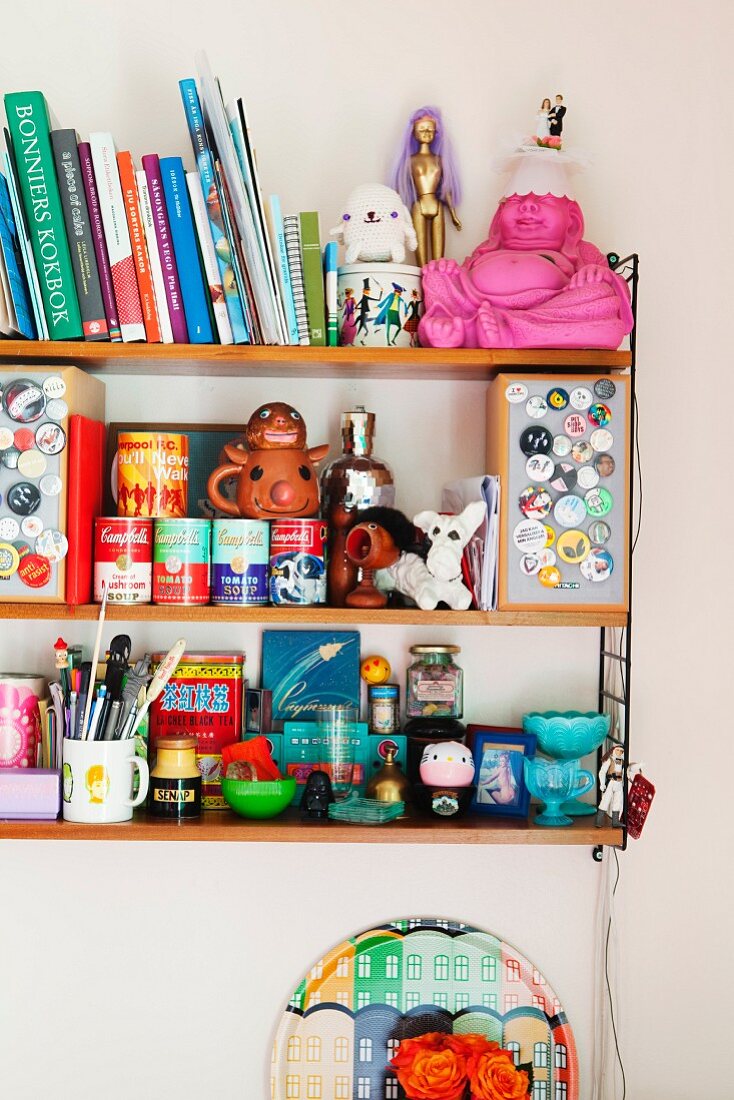 Books and ornaments on wall-mounted shelves