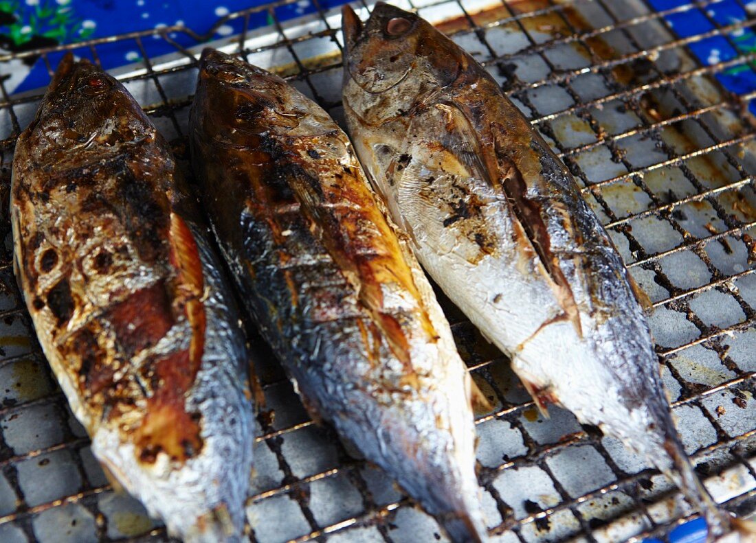 Grilled fish on a wire rack