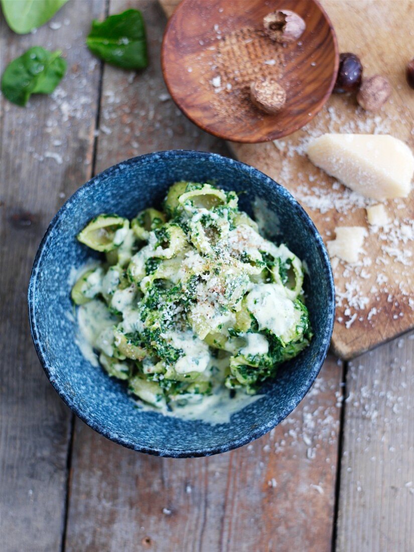 Conchiglie mit Spinat und Parmesan