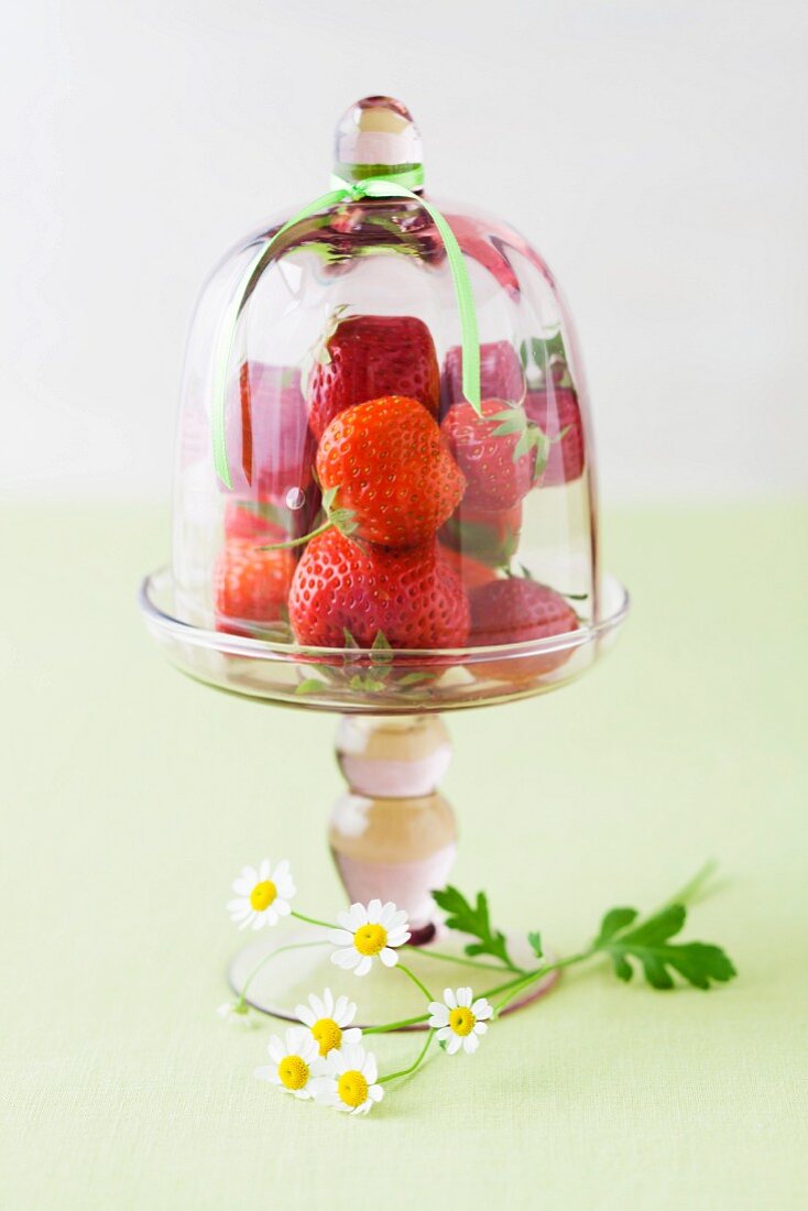 Strawberries in glass bowl, close up
