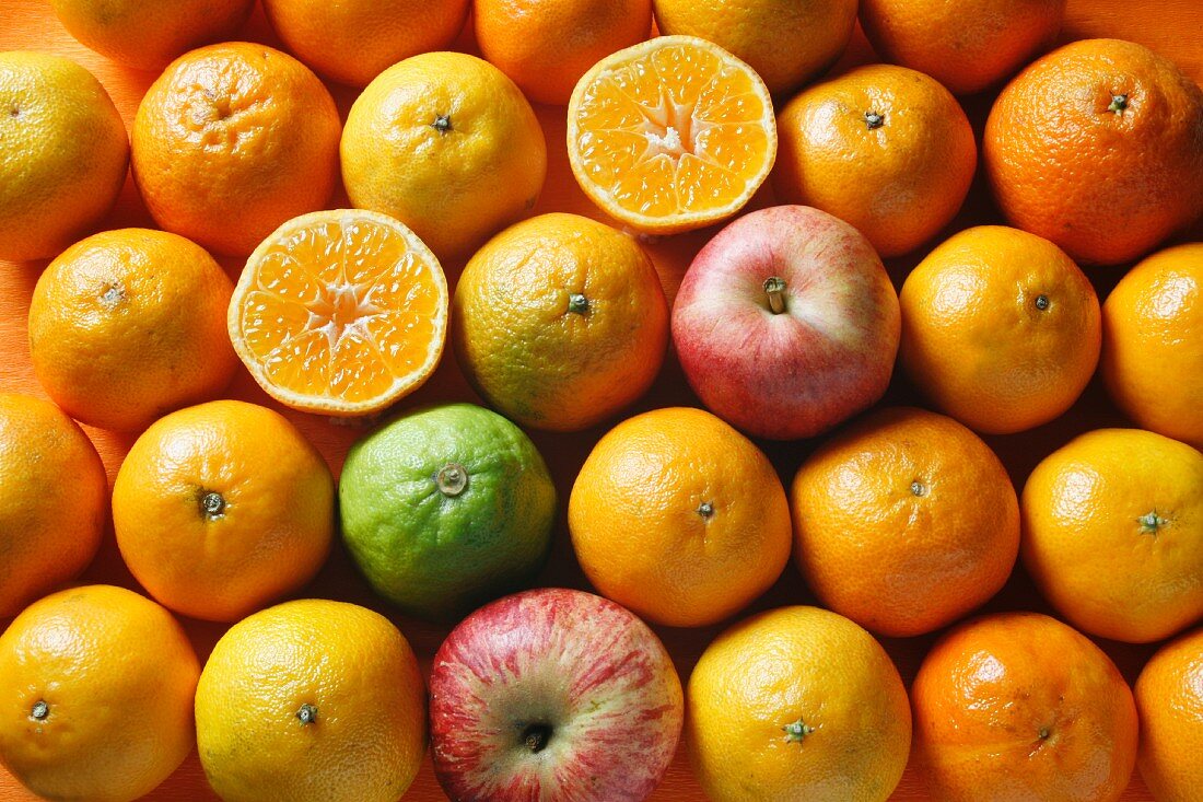 Obststillleben in Orange