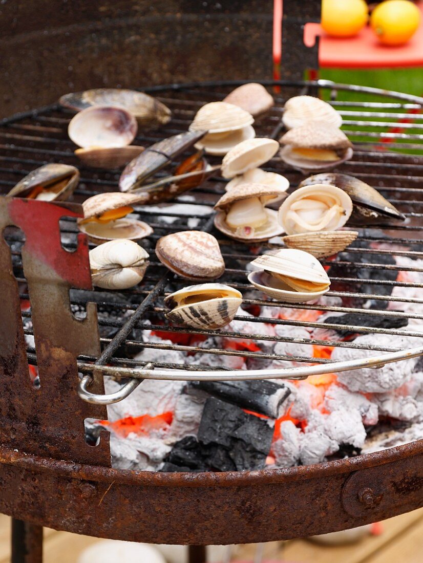 Assorted mussels on the BBQ