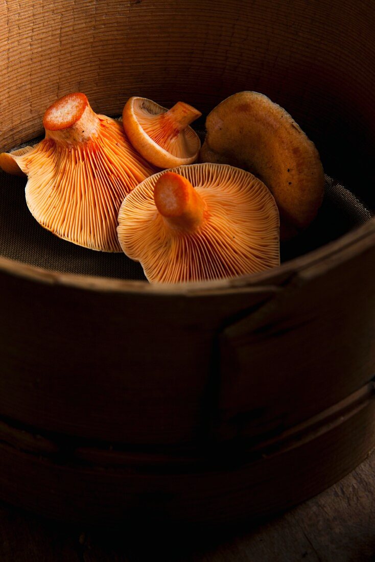Fresh sliced milk cap mushrooms in a old wooden container