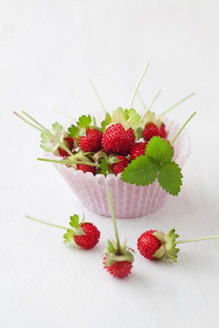 Paper cup of wild strawberries, close up