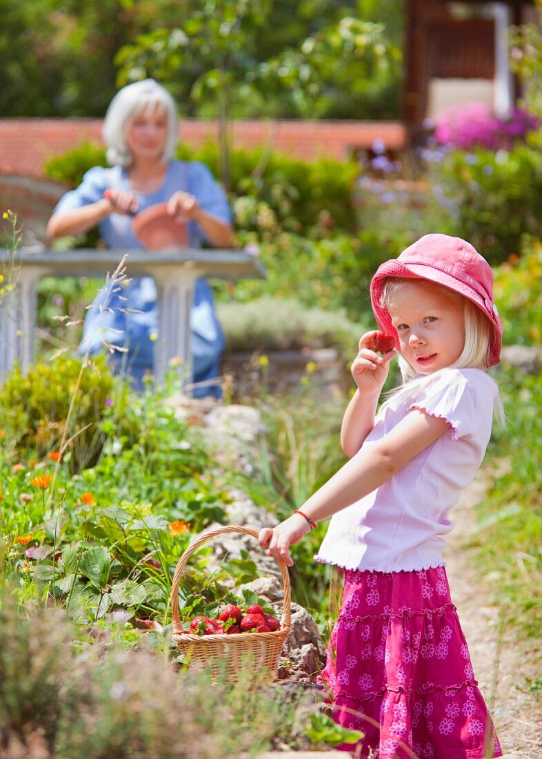 Germany, Bavaria, Girl picking starwberries in garden, mature woman in background