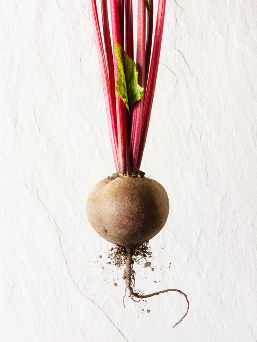 A red beet tuber