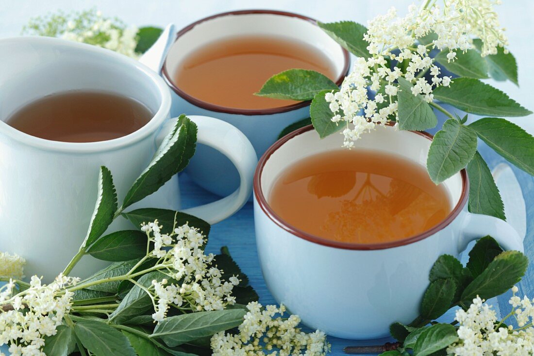 Elderflower tea and fresh elderflowers