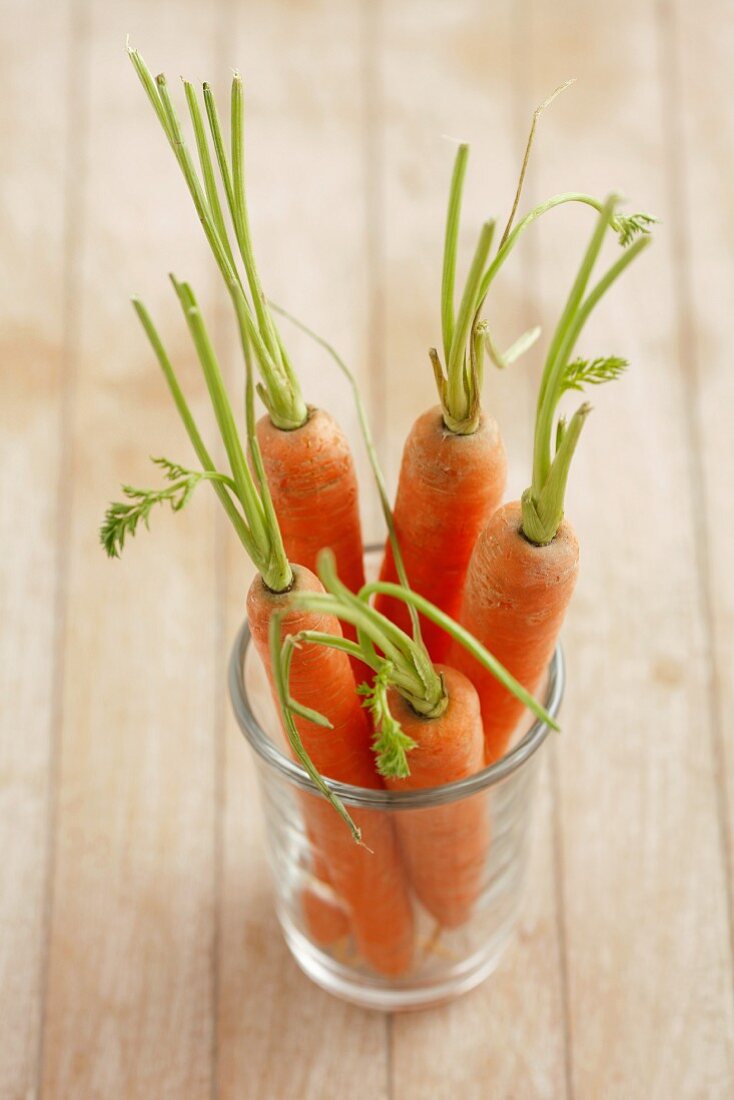 Fresh carrots in a glass