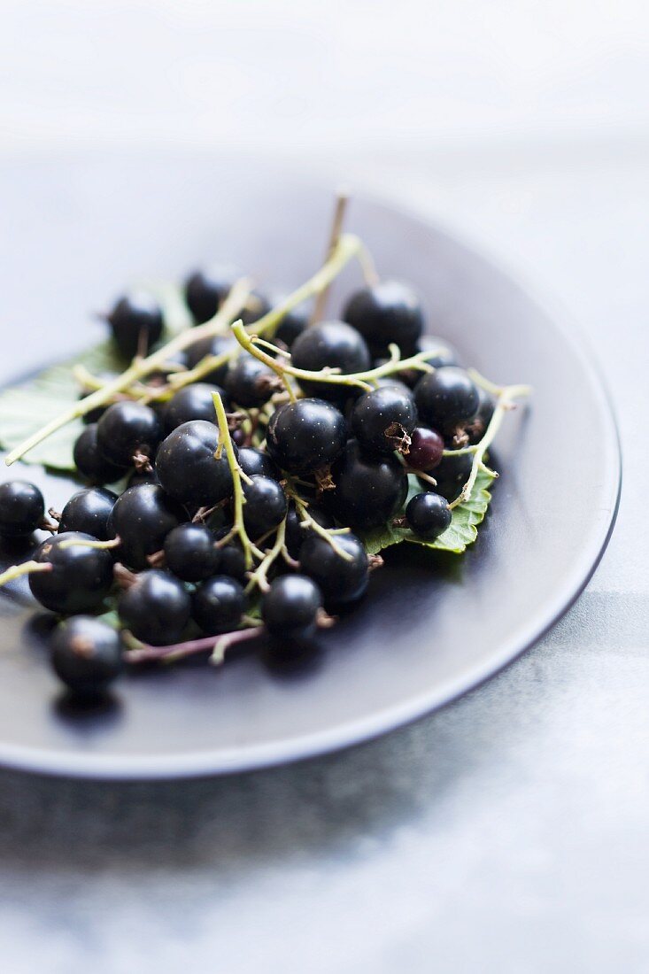 Blackcurrants