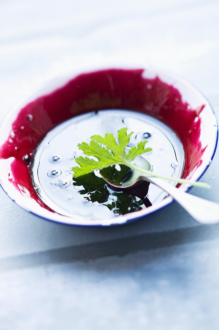 Schwarze Johannisbeerkonfitüre mit Duftpelargonienblatt in einer Schale