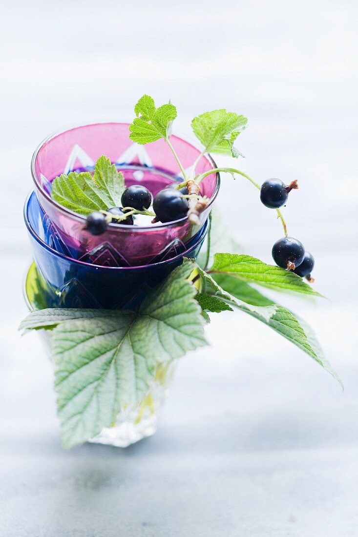 Schwarze Johannisbeeren mit Blättern