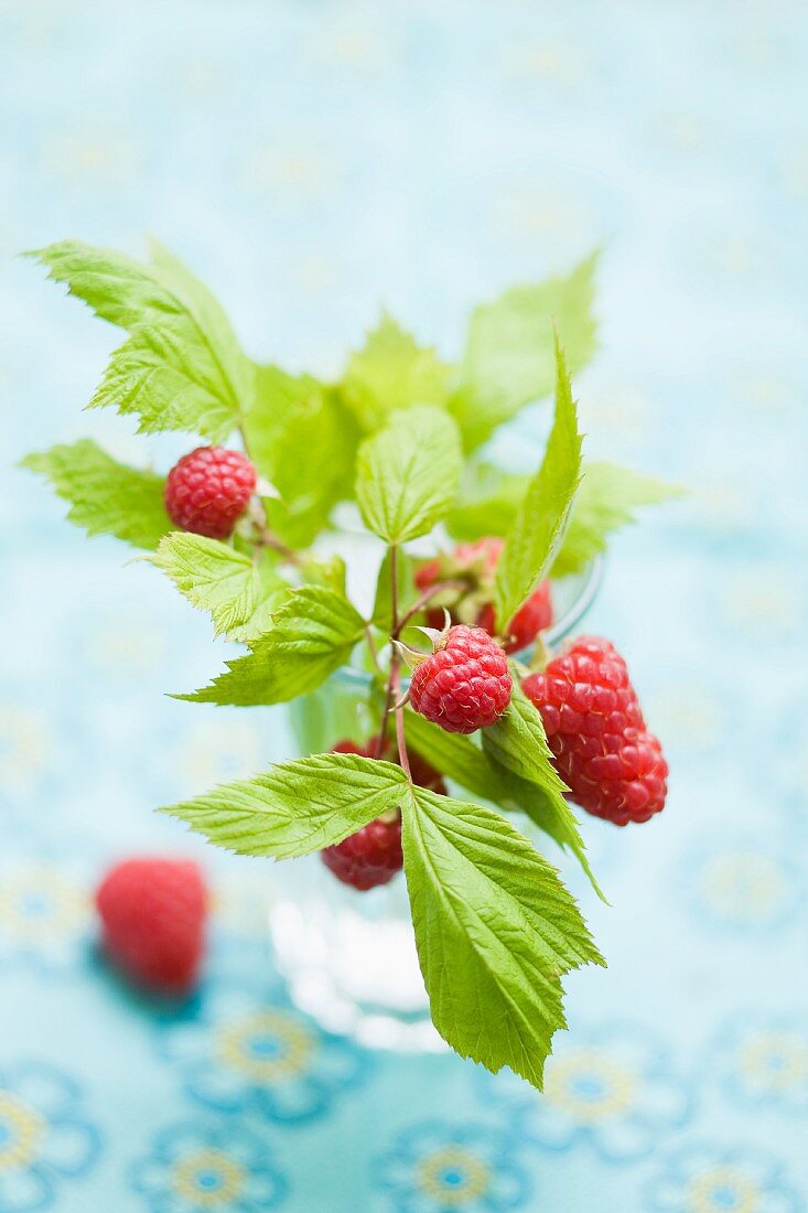 Raspberries with leaves in a glass