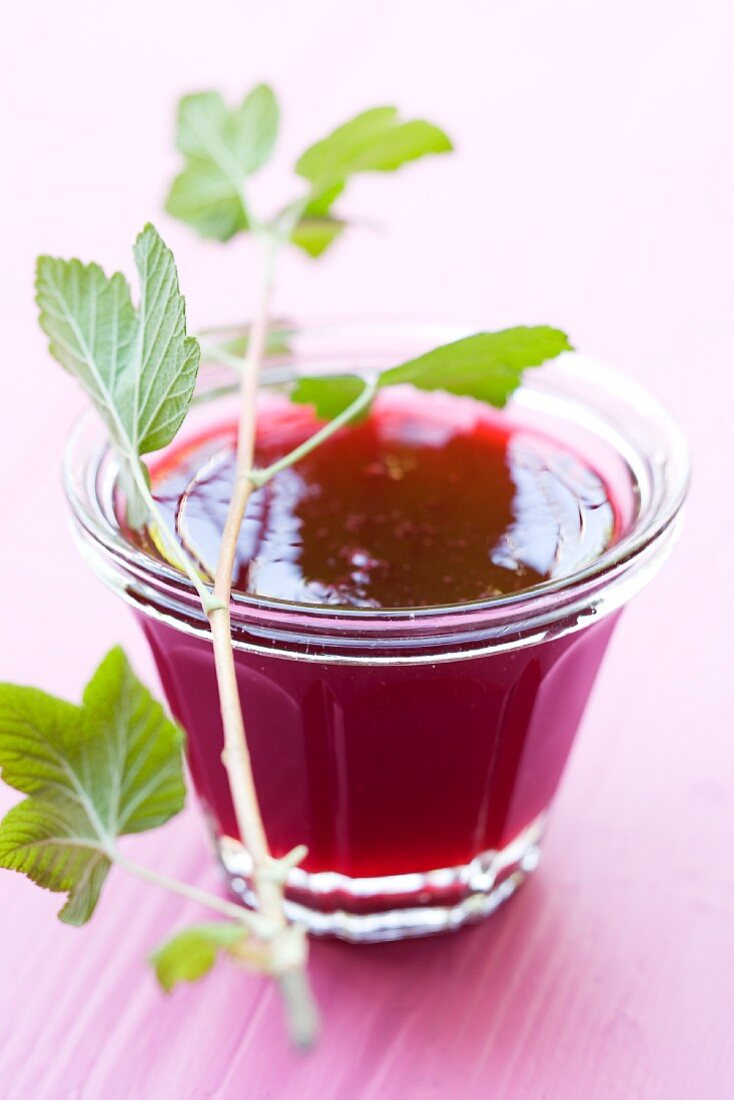 Redcurrant jelly