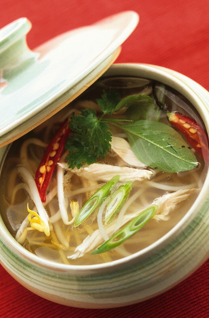 Chicken soup with noodles (Asia)