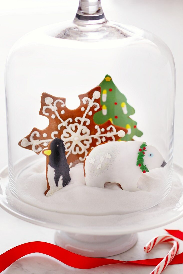 Christmas Cookies in "Snow" Under a Glass Dome Lid
