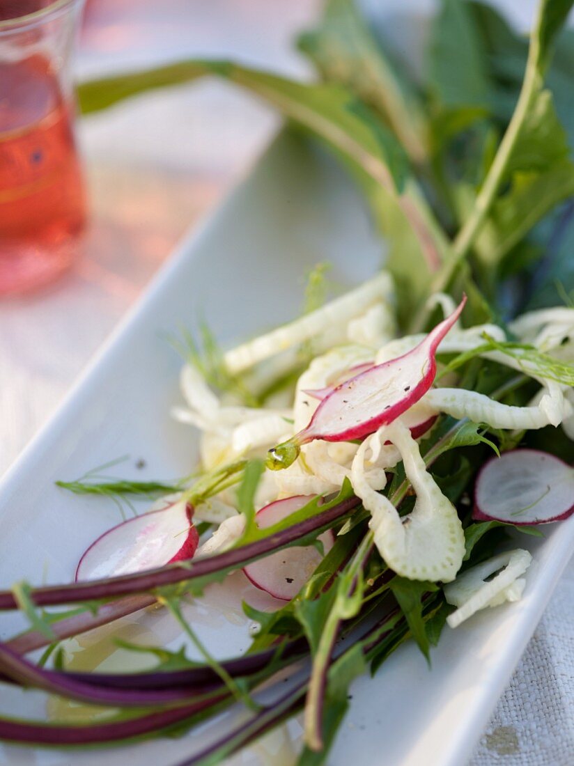 Bitter Green Salad with Fennel and Radishes