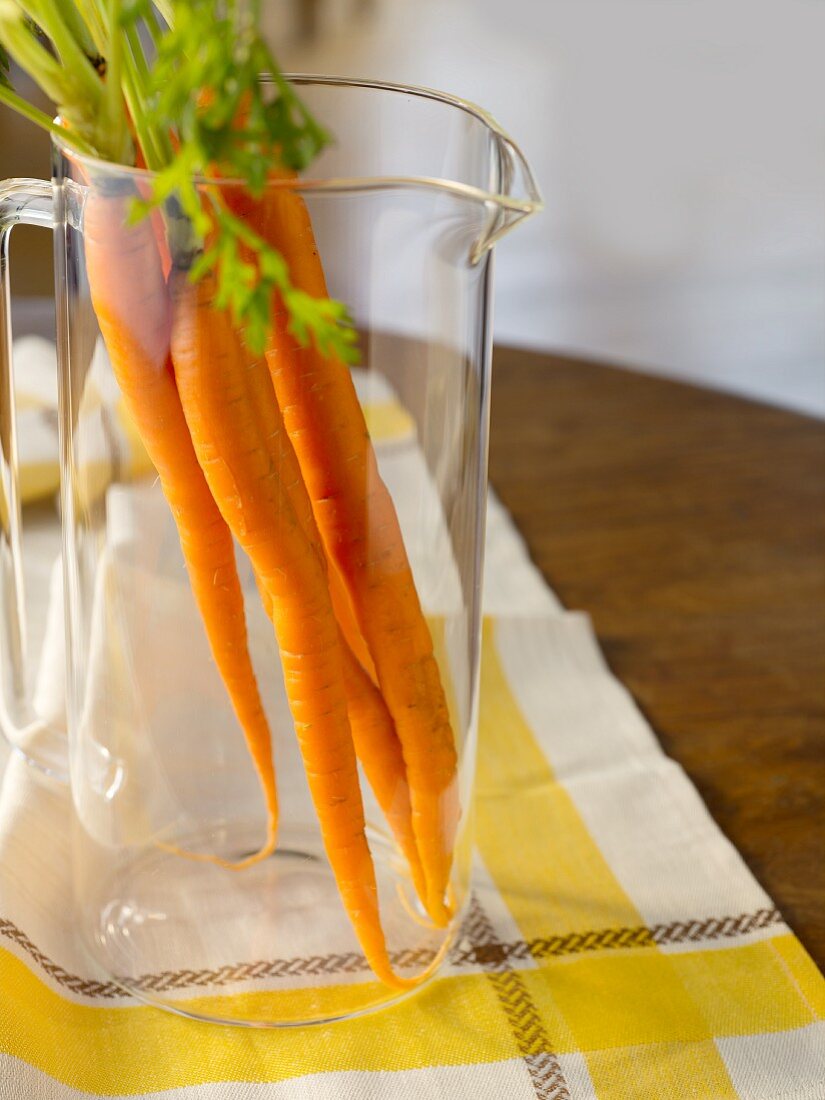 Whole Carrots with Stems in a Glass Pitcher; On a Cloth on a Table