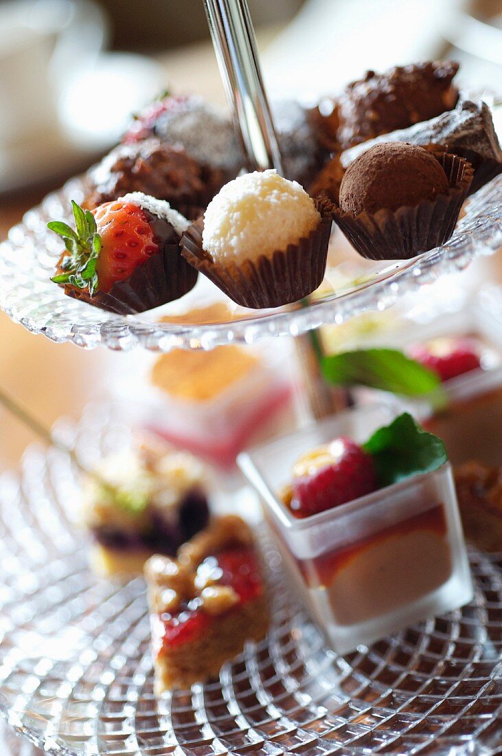 Assorted filled chocolates and miniature cakes