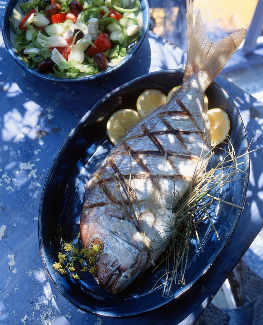 Grilled gilt-head bream with Greek salad