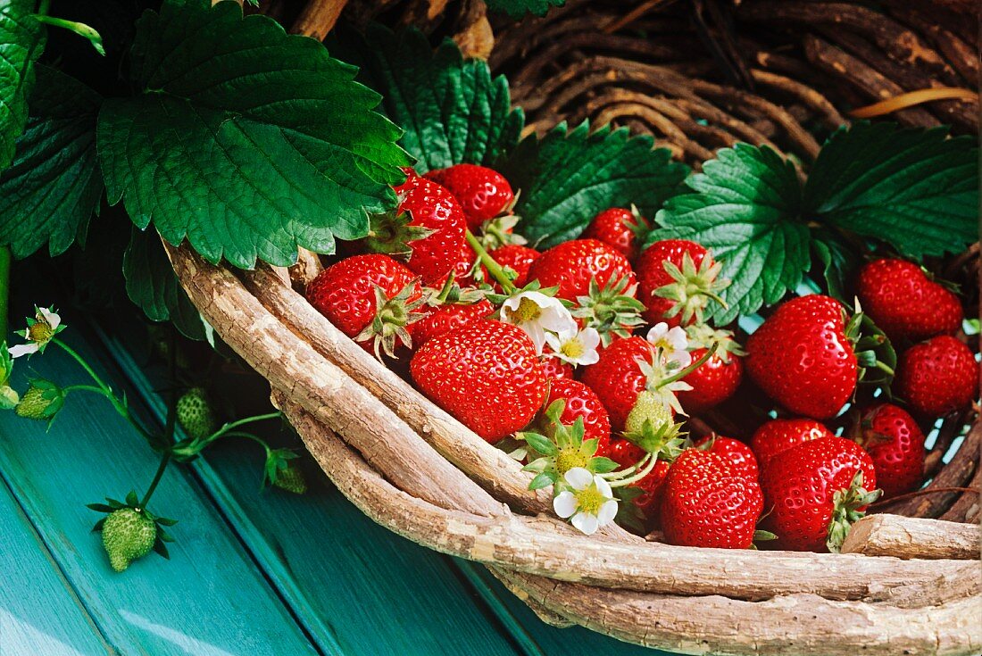 Fresh strawberries with leaves in basket