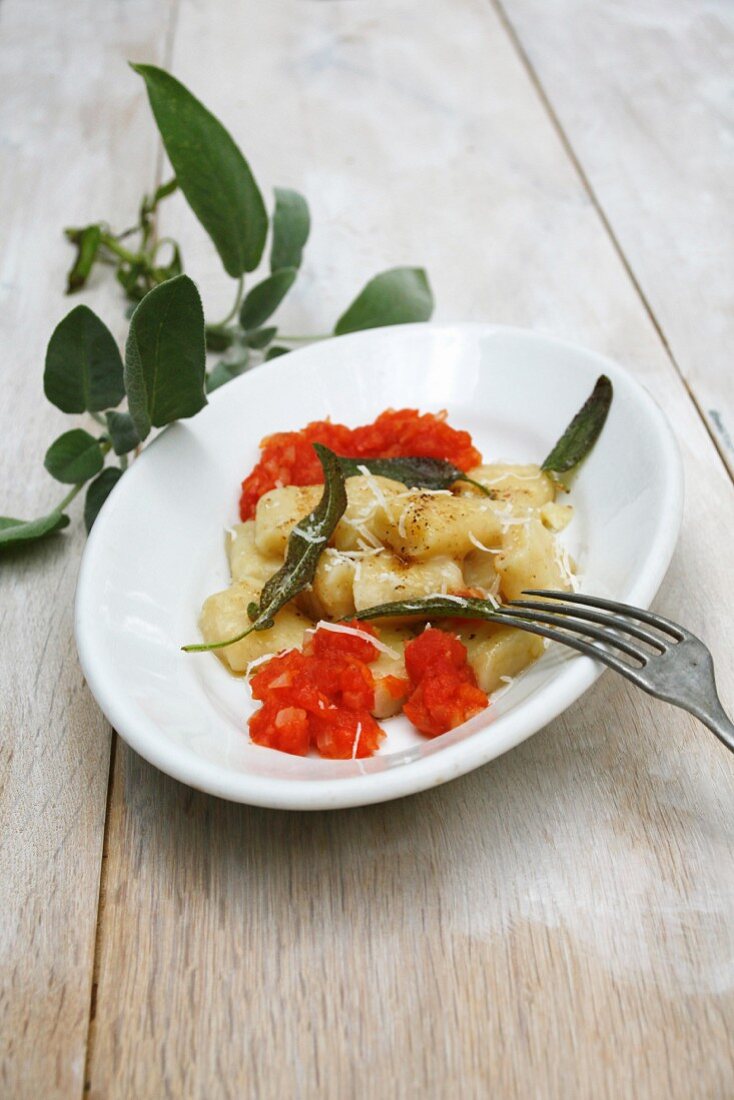 Gnocchi mit Tomaten und Salbei