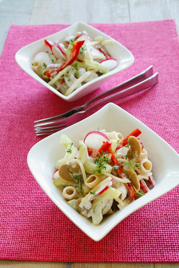 Pasta salad with peppers, cucumber, radishes and mushrooms