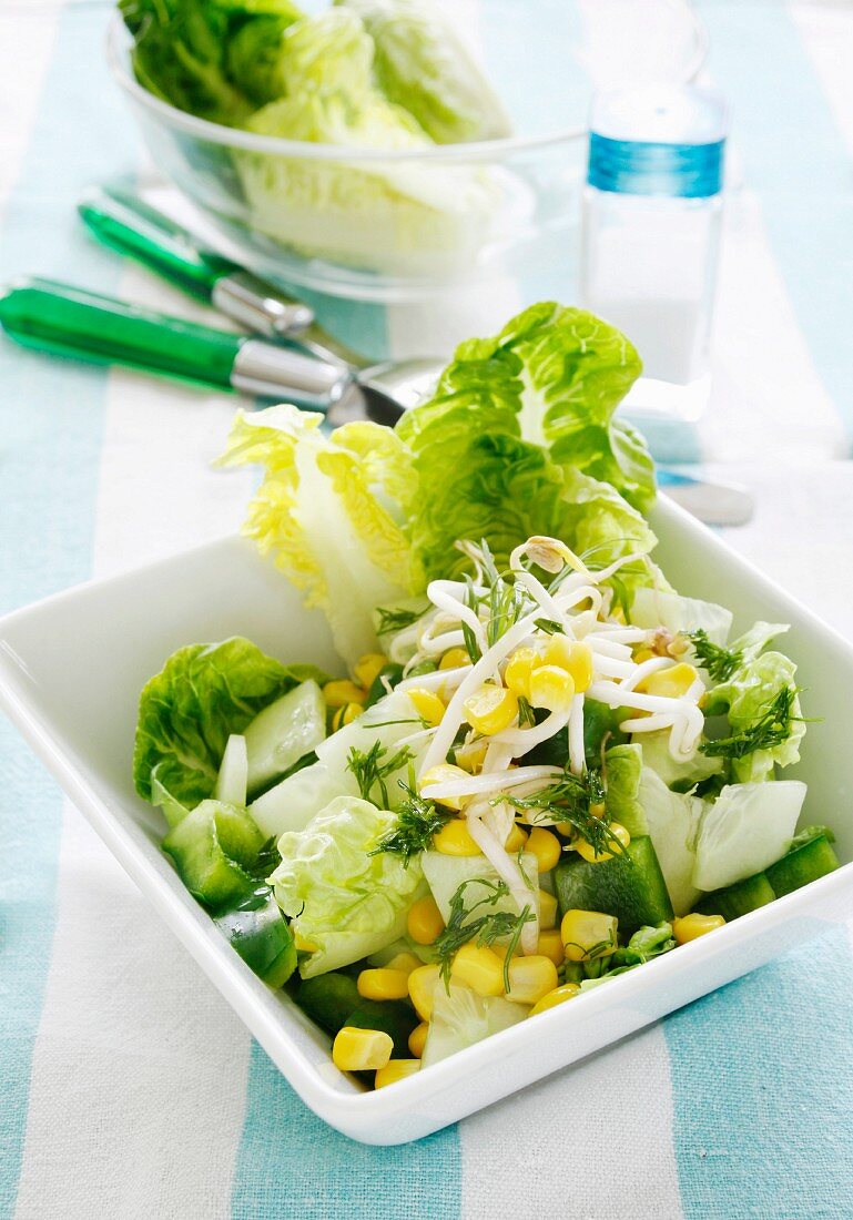 Lettuce with bean sprouts, cucumber, sweetcorn and chunks of pepper