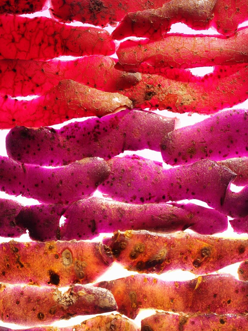 Verschiedenfarbige Kartoffelschalen in Reihen