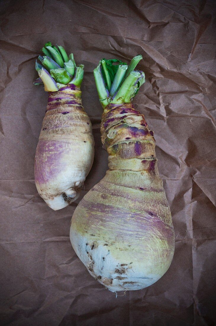 Two Eastham Turnips on Paper
