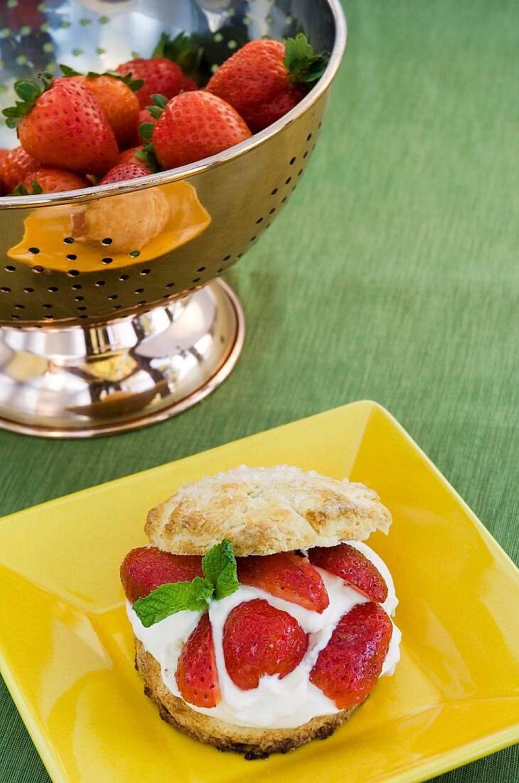 A plate of strawberry shortcake with cream and a stainless steel colander with fresh strawberries