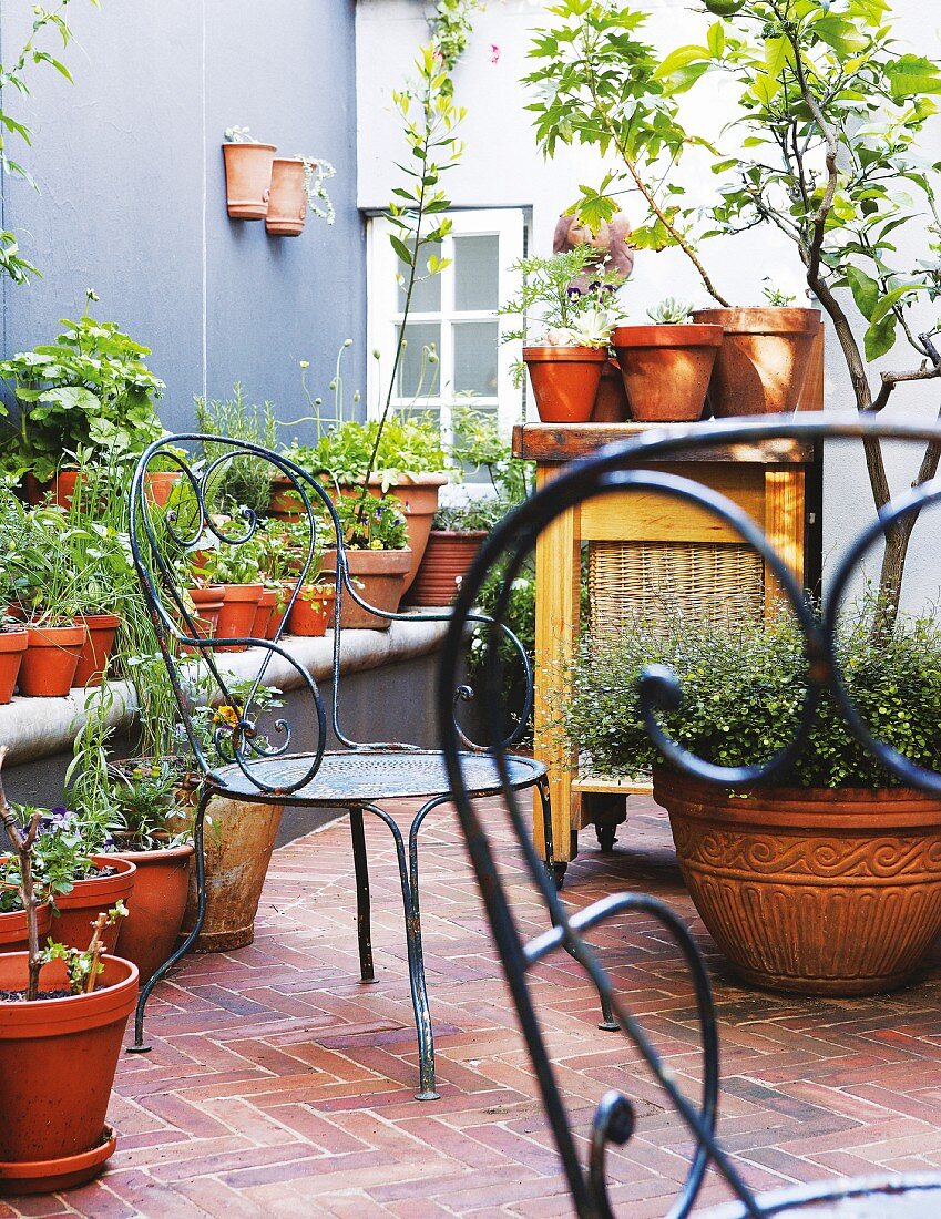 Pflanzen in Tontöpfen und verschnörkelte Drahtstühle auf Terrasse mit gemauerter Bank