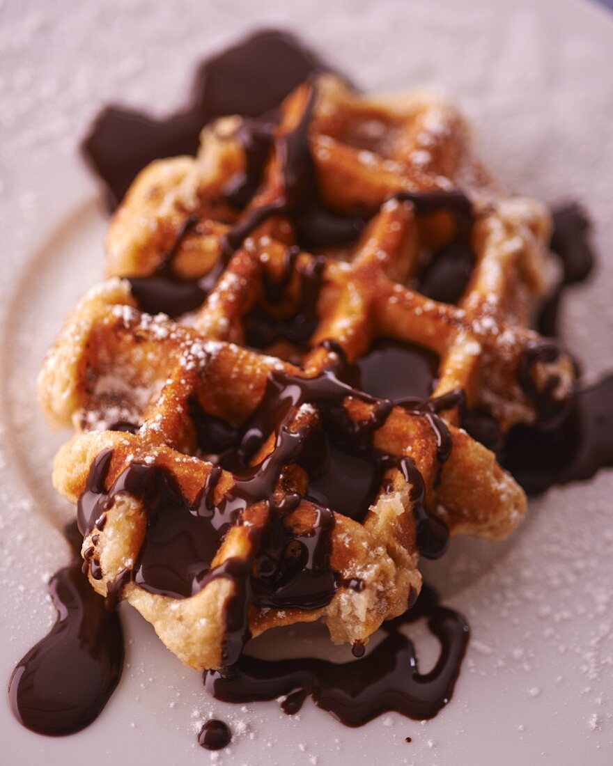 A waffle topped with chocolate sauce and icing sugar