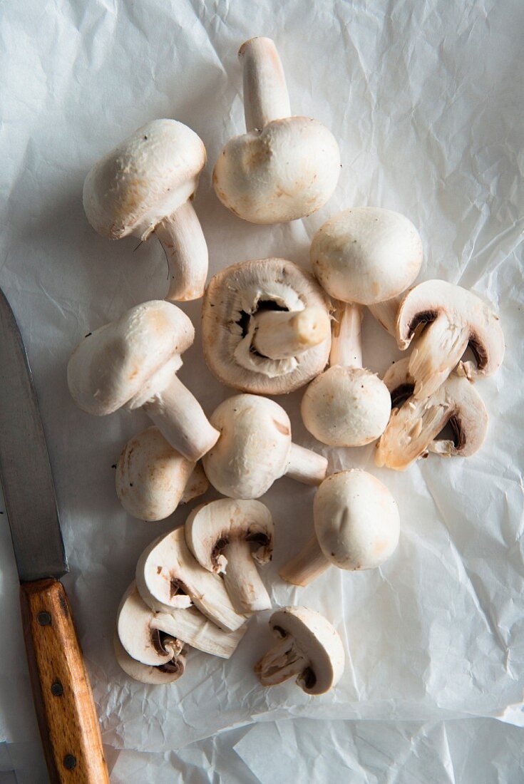 Frische Champignons auf Papier