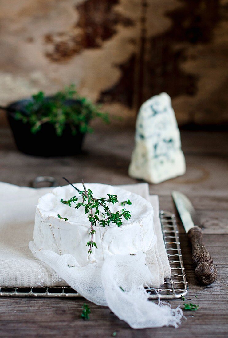 Camembert and Roquefort with thyme
