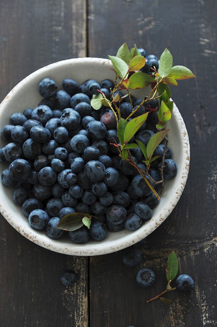 Heidelbeeren mit Blättern in einer Schale