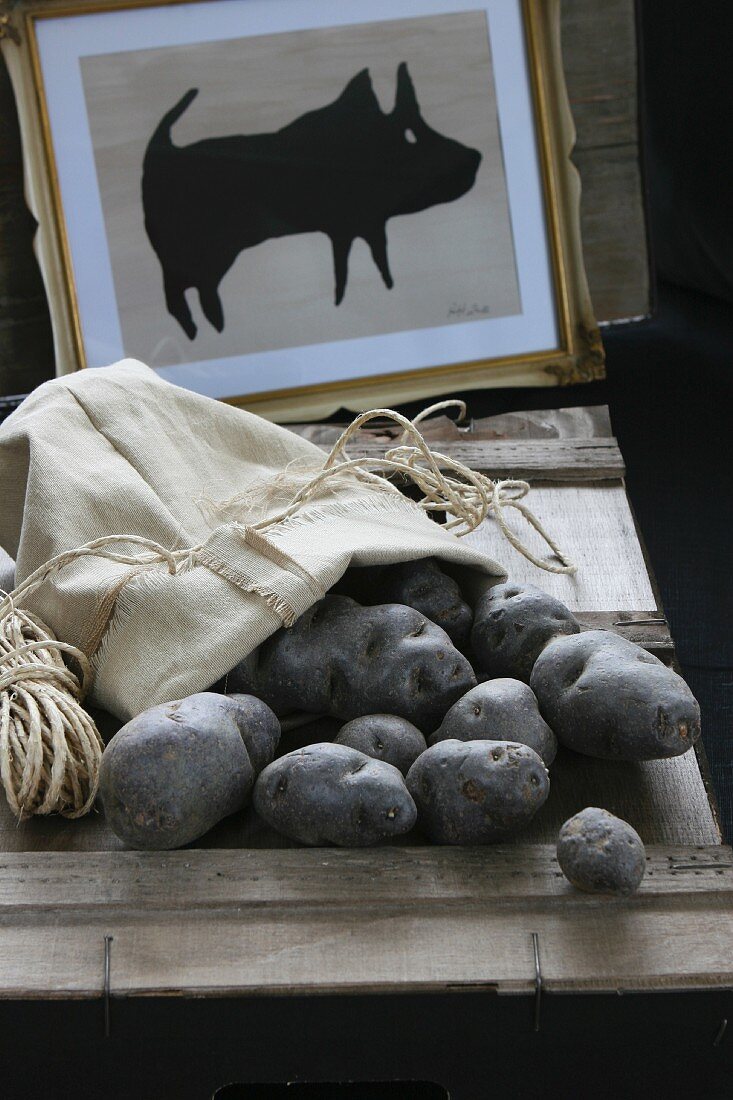 Truffle potatoes in a potato sack, and a drawing of a pig