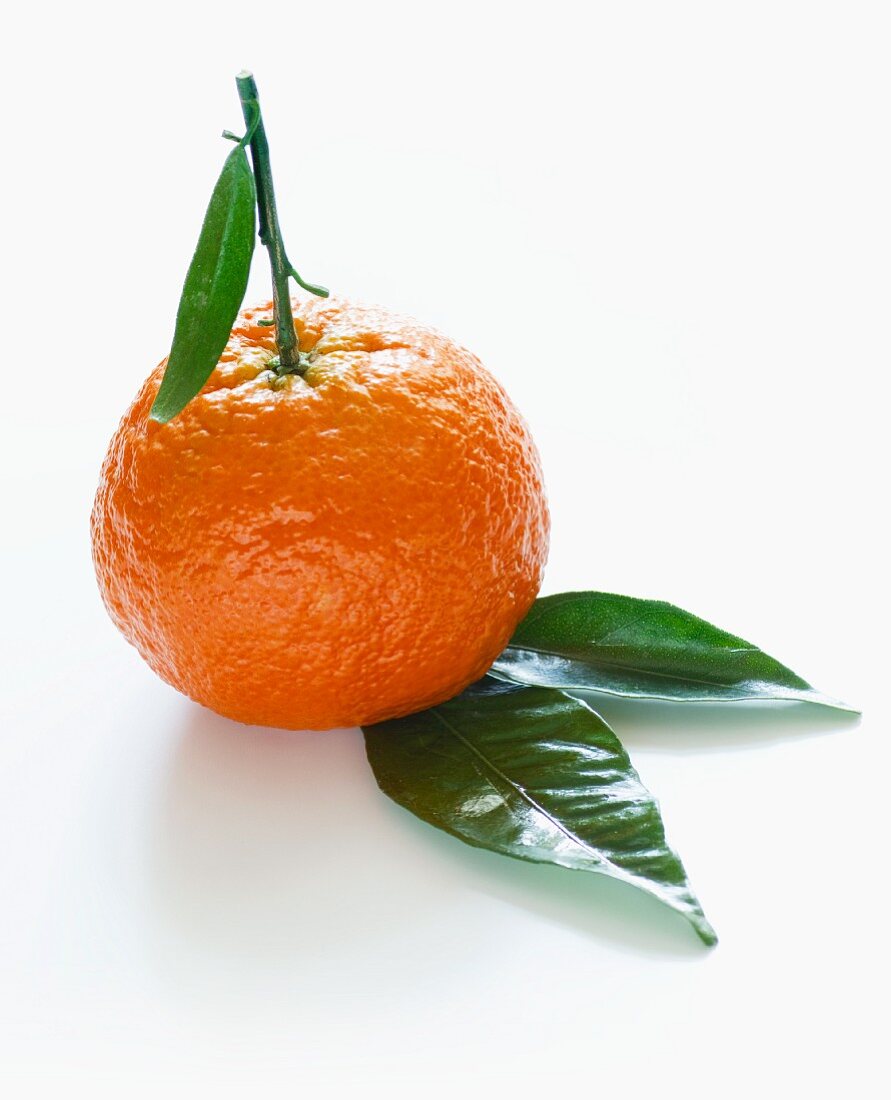 Mandarine mit Blättern als Freisteller