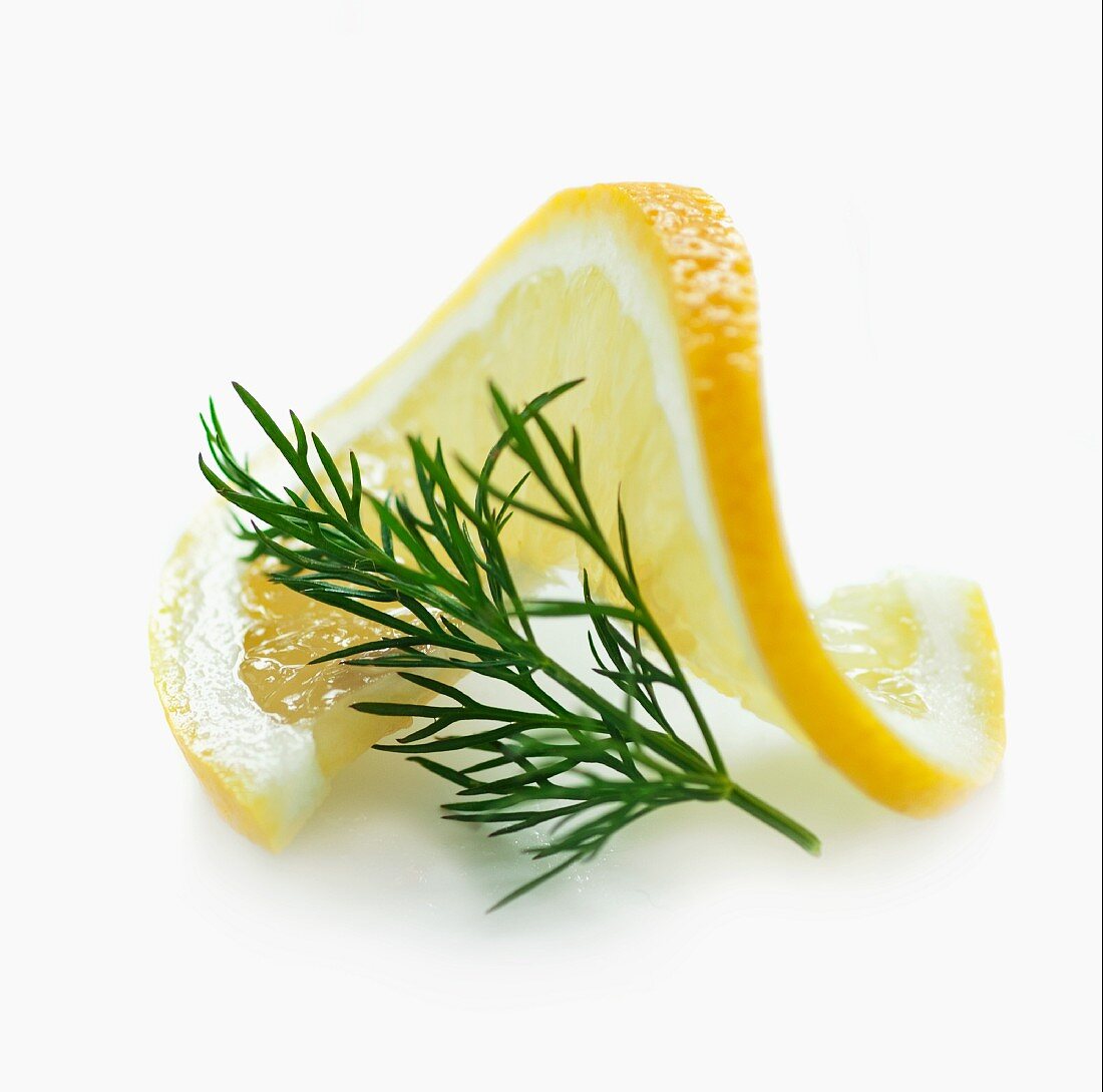 A slice of lemon and a sprig of dill with no background