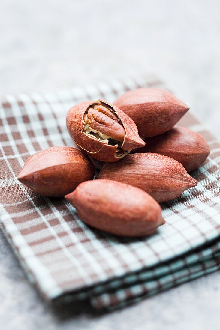 Pecan nuts in the shell on a checked cloth