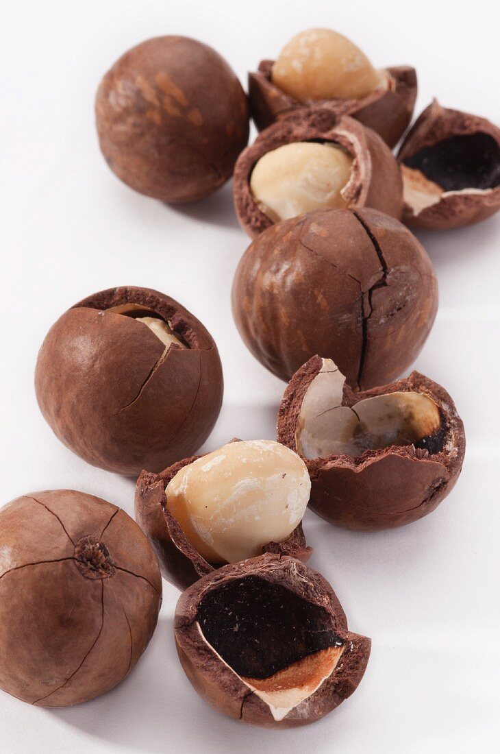 Several macadamia nuts